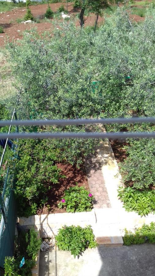 Apartment Bella Vista Park View Poreč Dış mekan fotoğraf